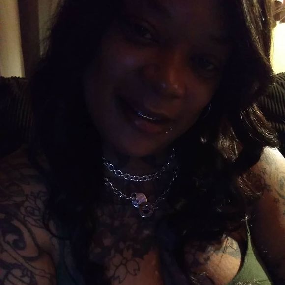 Meet your Posher, Redd - Picture 1 of 1